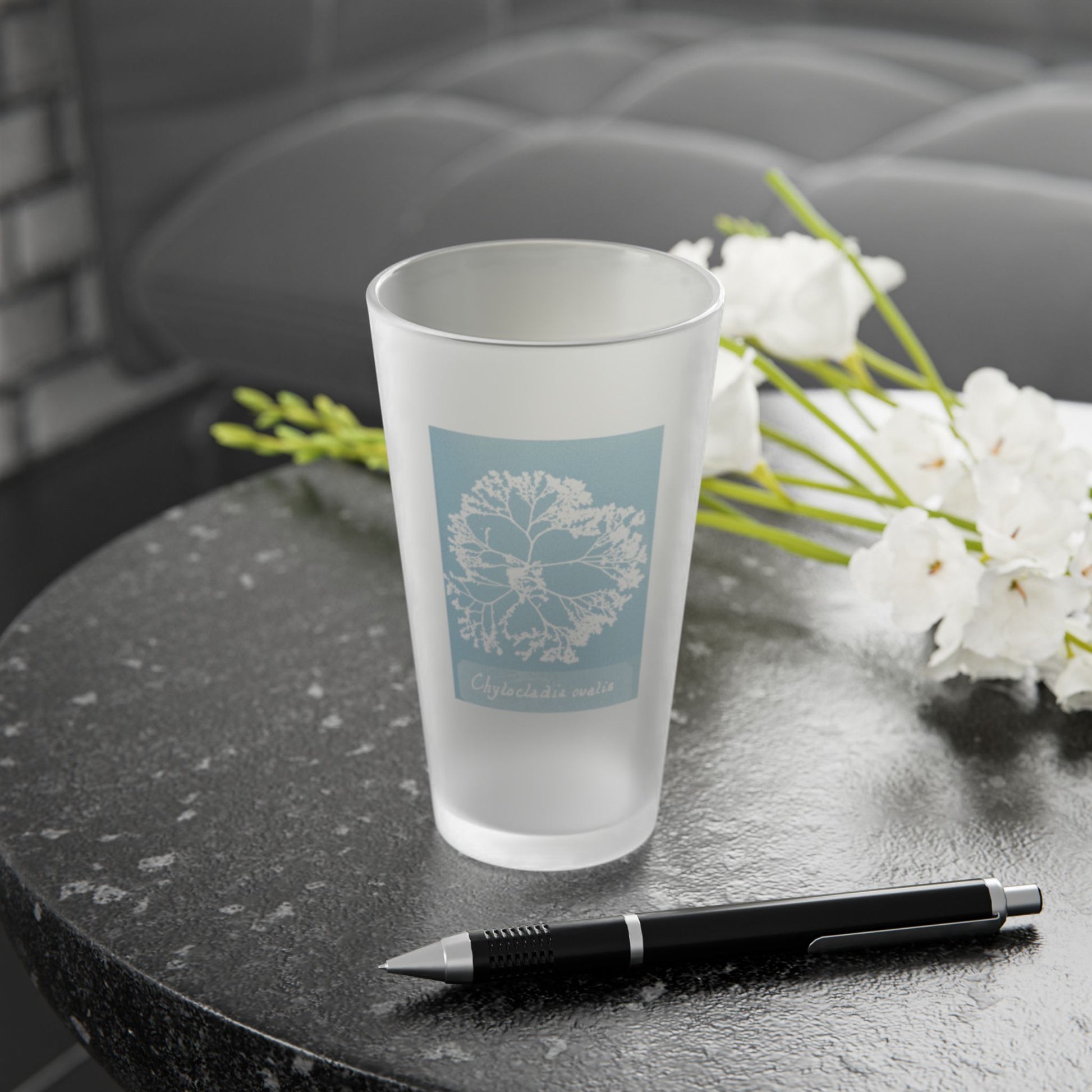 Frosted pint glass featuring Anna Atkins' cyanotype of Chylocladia Ovalis from the Sumac and Pine Blueprints from the Sea collection