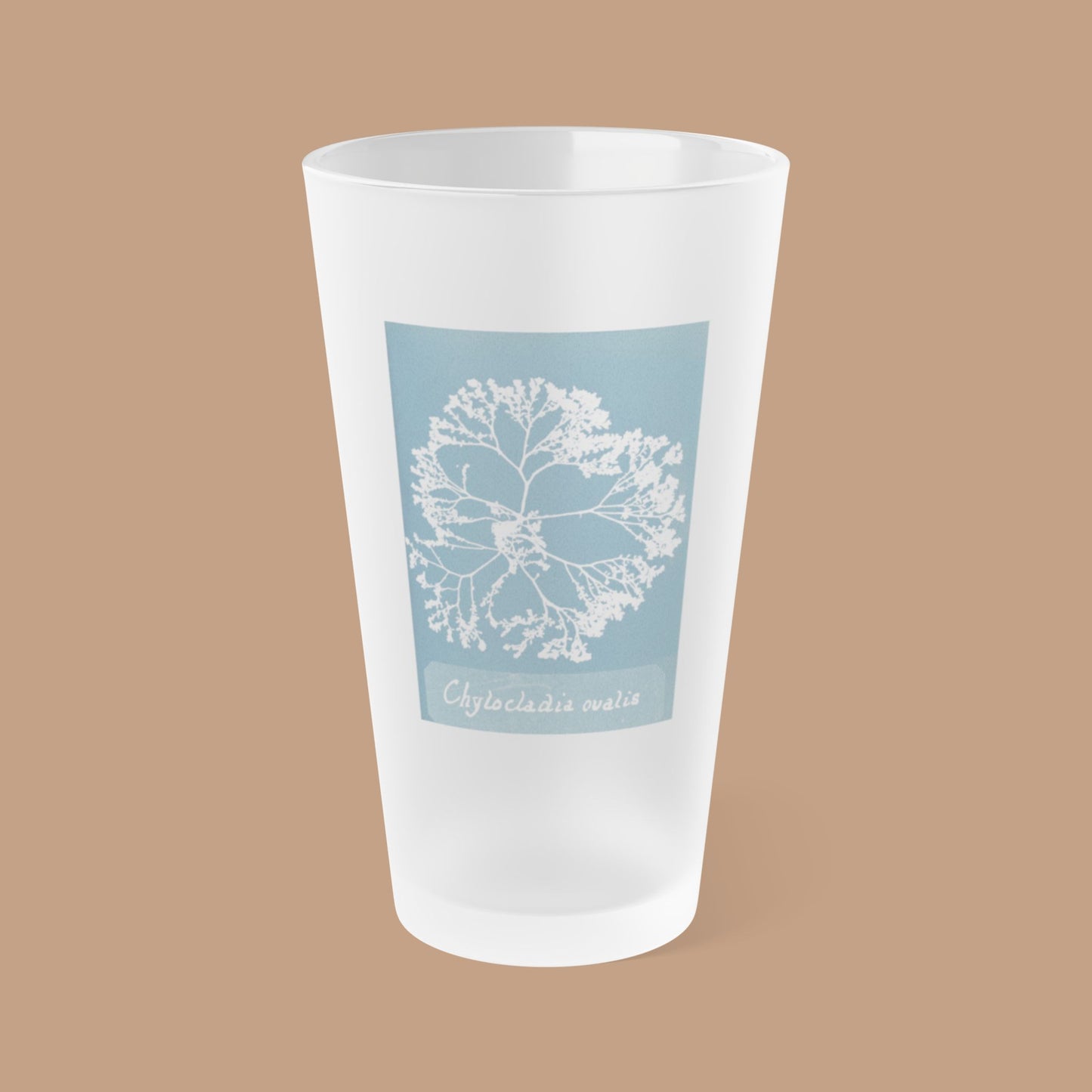 Frosted pint glass featuring Anna Atkins' cyanotype of Chylocladia Ovalis from the Sumac and Pine Blueprints from the Sea collection