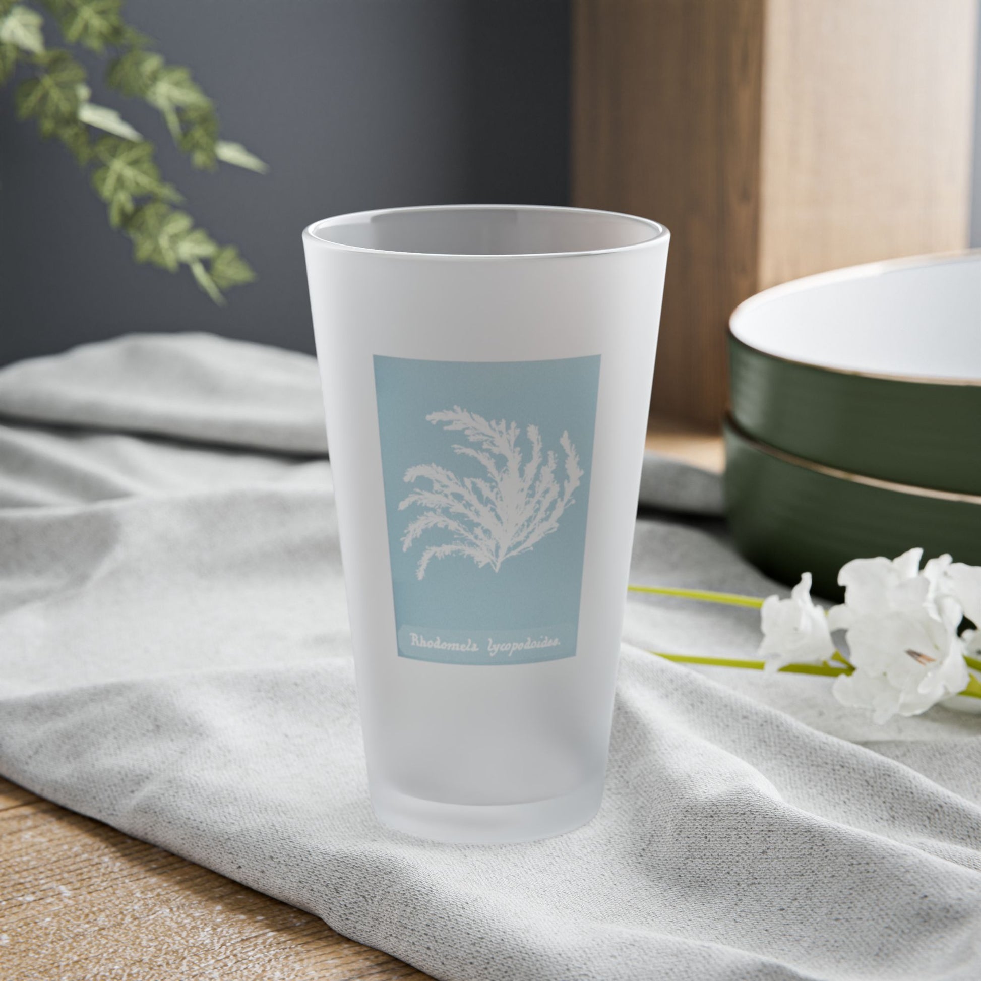 Frosted pint glass featuring Anna Atkins' cyanotype of Rhodomela Lycopodioides from the Sumac and Pine Blueprints from the Sea collection