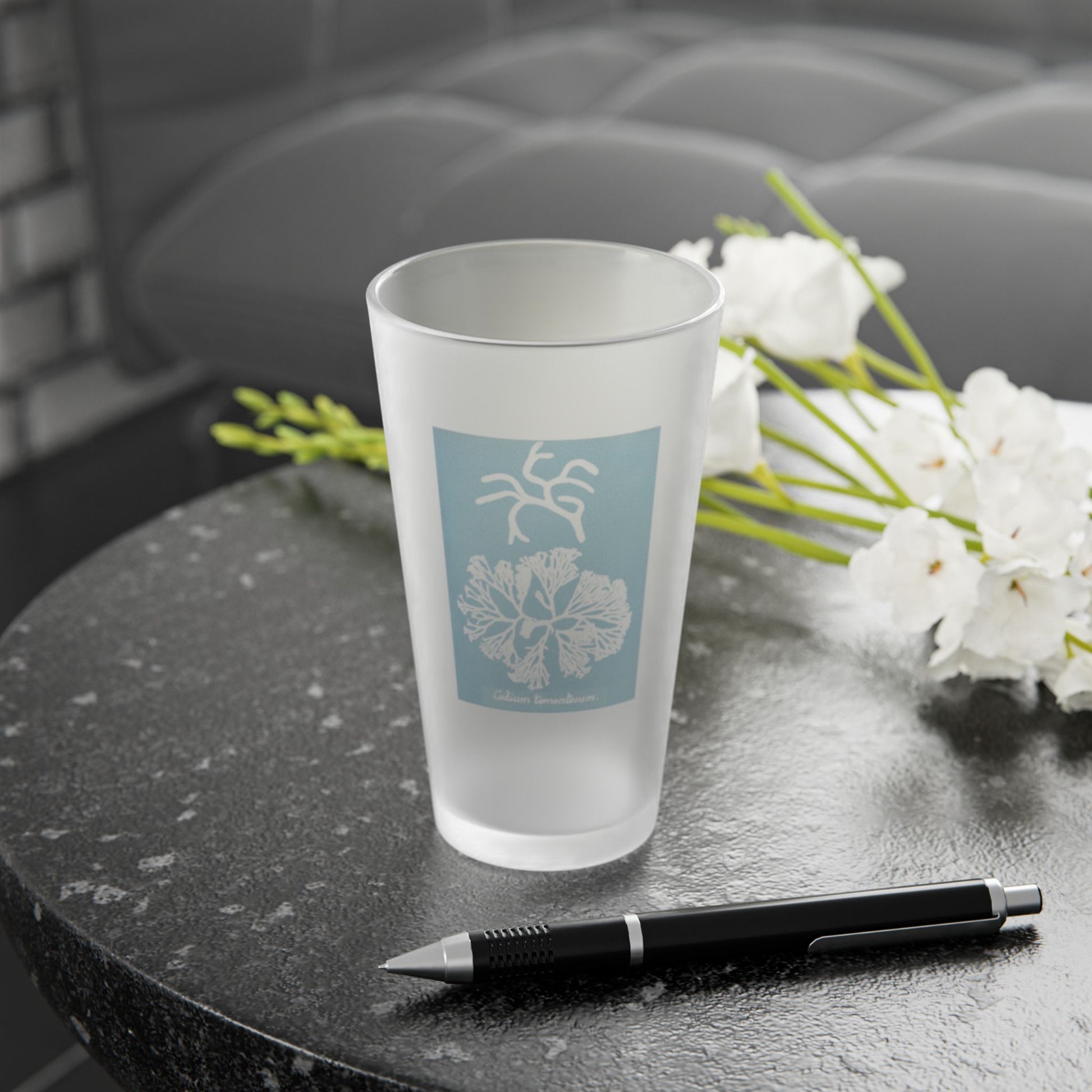Frosted pint glass featuring Anna Atkins' cyanotype of Codium Tomentosum from the Sumac and Pine Blueprints from the Sea collection