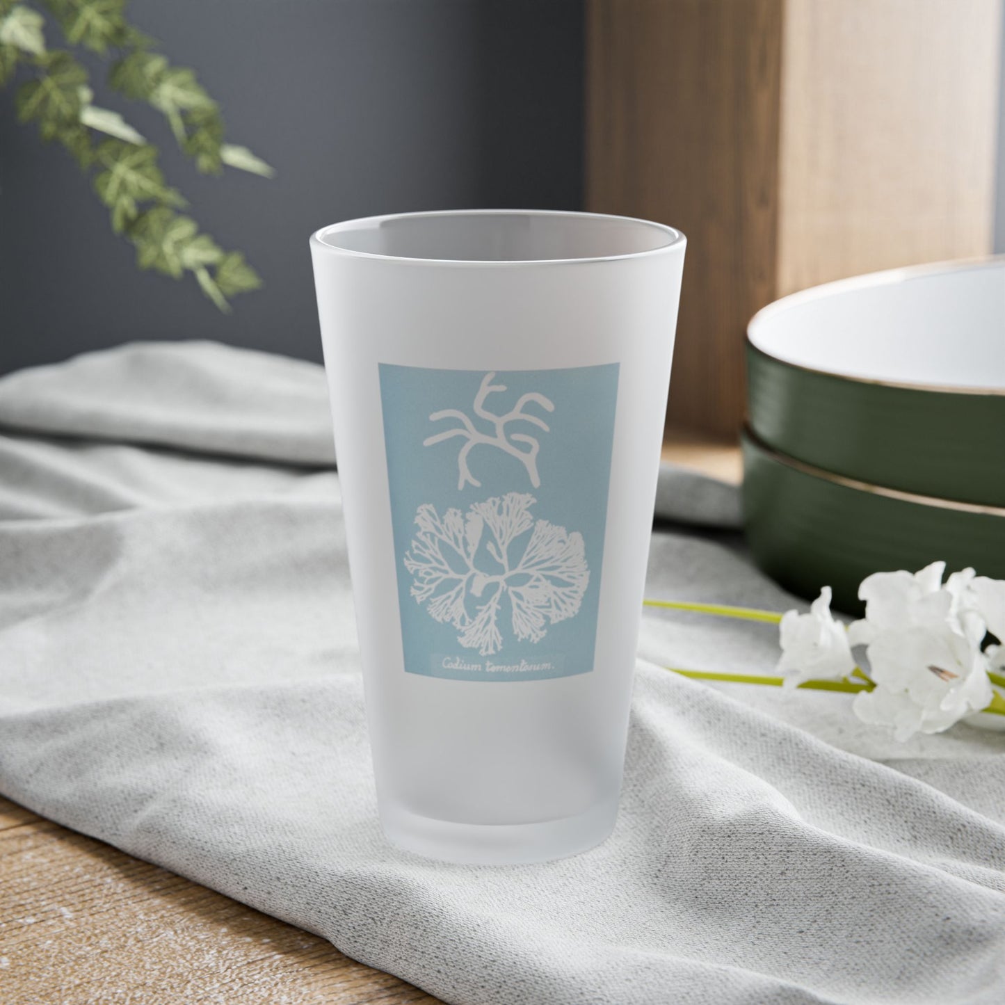 Frosted pint glass featuring Anna Atkins' cyanotype of Codium Tomentosum from the Sumac and Pine Blueprints from the Sea collection