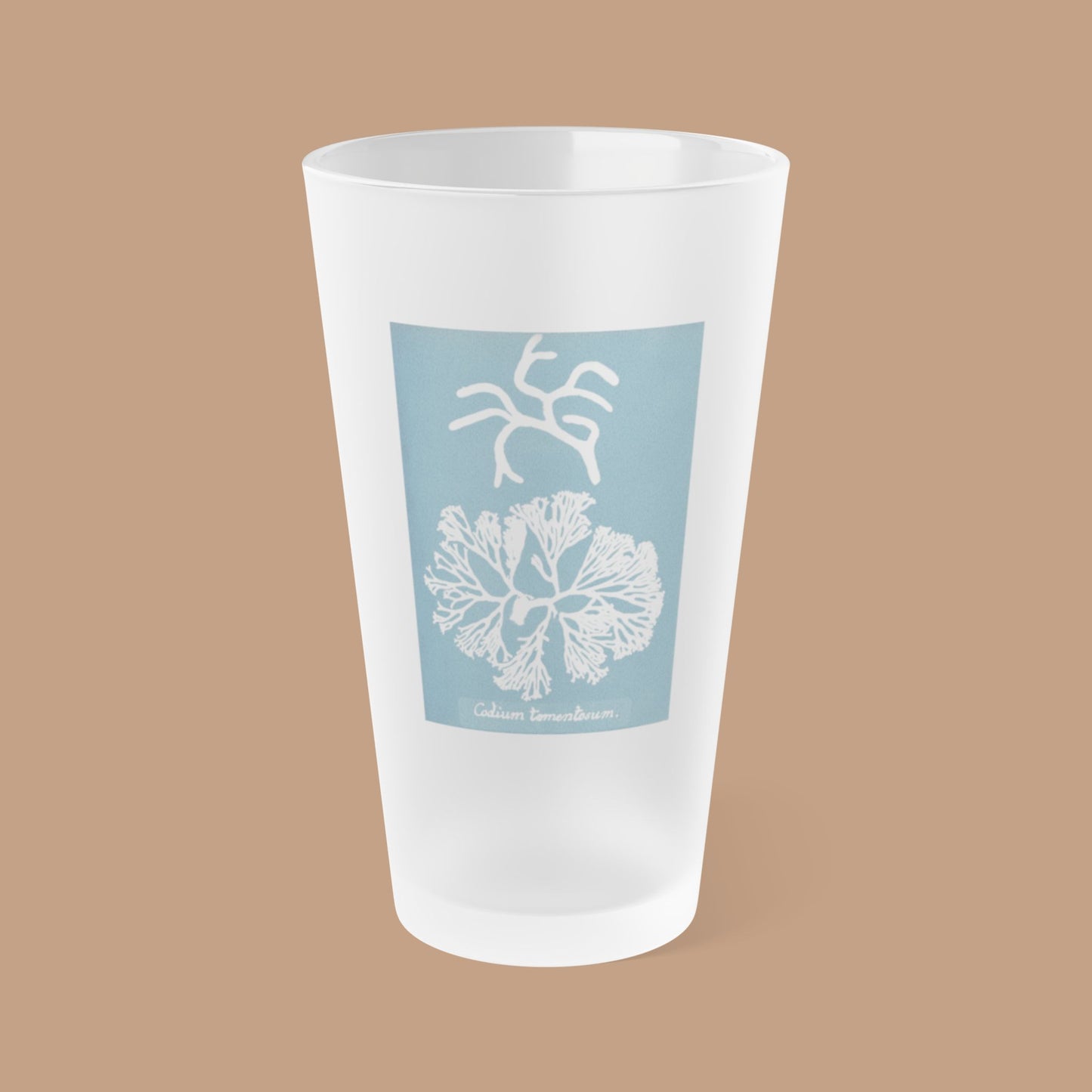 Frosted pint glass featuring Anna Atkins' cyanotype of Codium Tomentosum from the Sumac and Pine Blueprints from the Sea collection