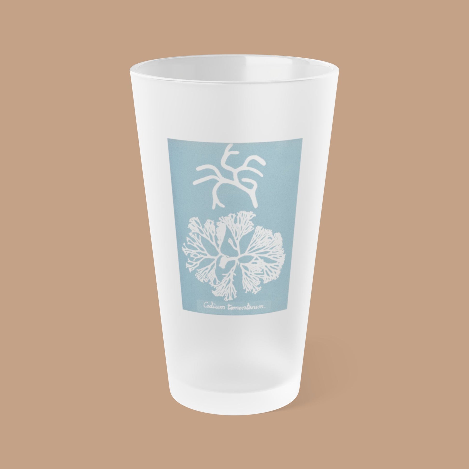 Frosted pint glass featuring Anna Atkins' cyanotype of Codium Tomentosum from the Sumac and Pine Blueprints from the Sea collection